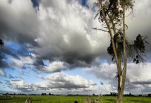 “前国脚”高峰抛弃那英和刚出生的孩子，19年过去他怎么样了？.