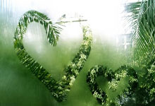 PG电子：[欧冠]客胜费耶诺德 马竞晋级淘汰赛.