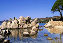 PG电子：归化选手为中国拿金牌 背后应是盘大棋.